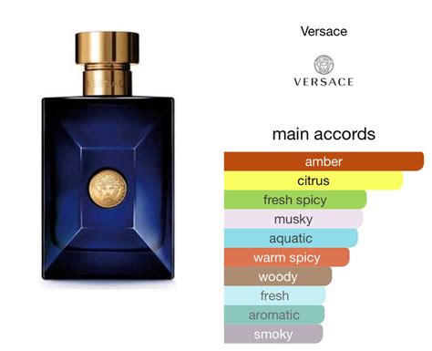 versace dylna blue|More.